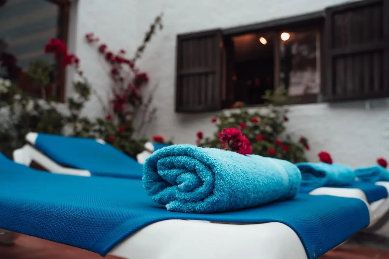 Villa En Cala Morell Con Piscina Privada En El Bosque Holiday home